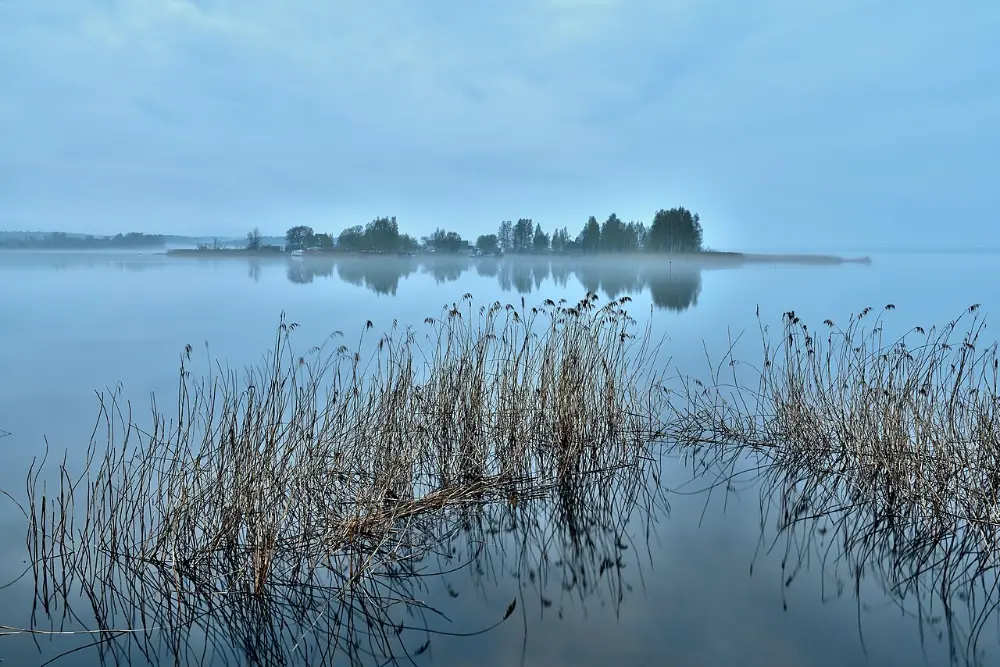 Stiller See im Morgennebel
